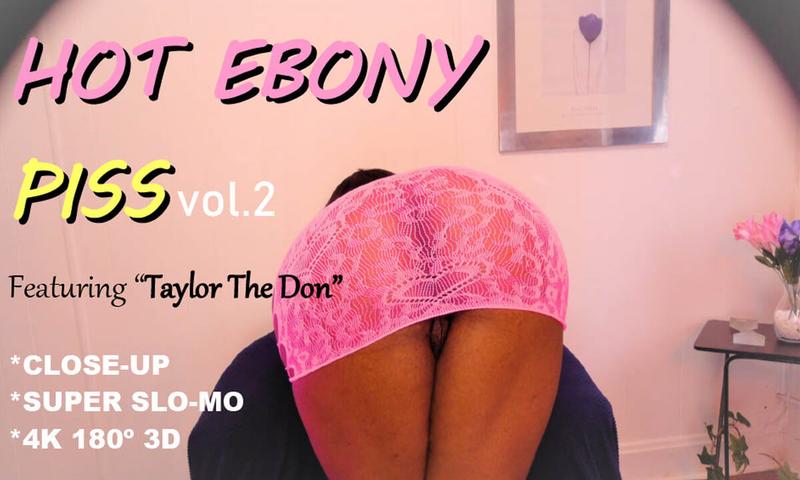 Hot Ebony P Vol 2.
