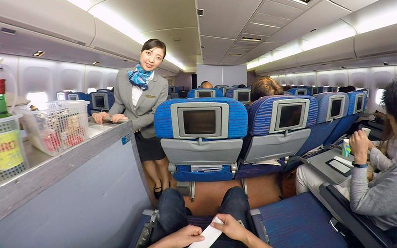 Stewardess Airplane Groping Creampie Special VR