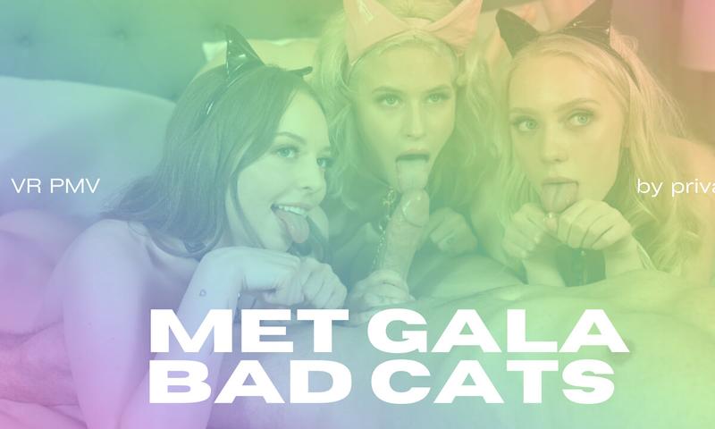Met Gala Bad Cats - VR Porn PMV | By Private Jet